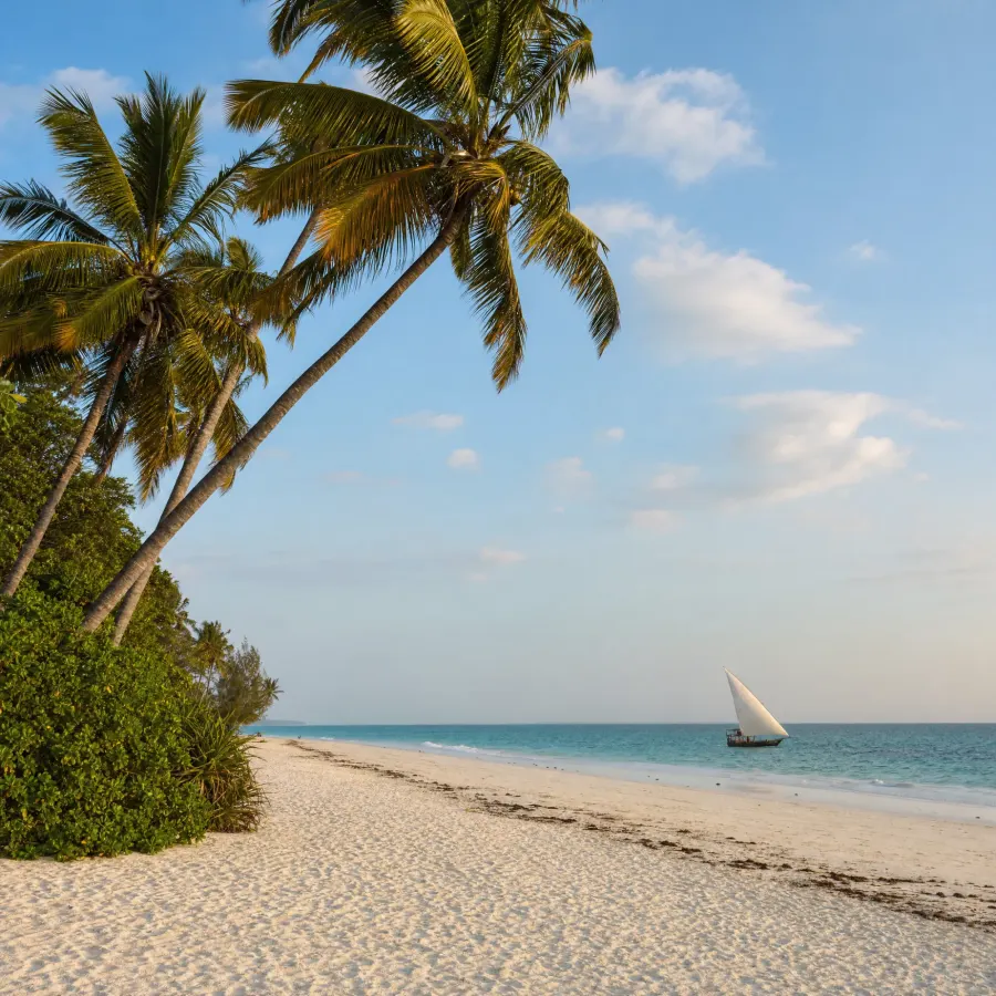 Leaning palm trees over a white-sand beach on the Kenyan coast, a dhow sailing on turquoise water